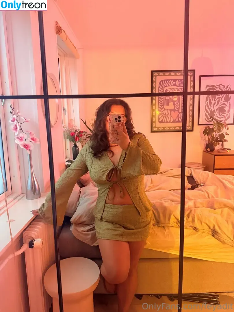 feyadit nude photo #0072 (feyaditt / veronika.vip)