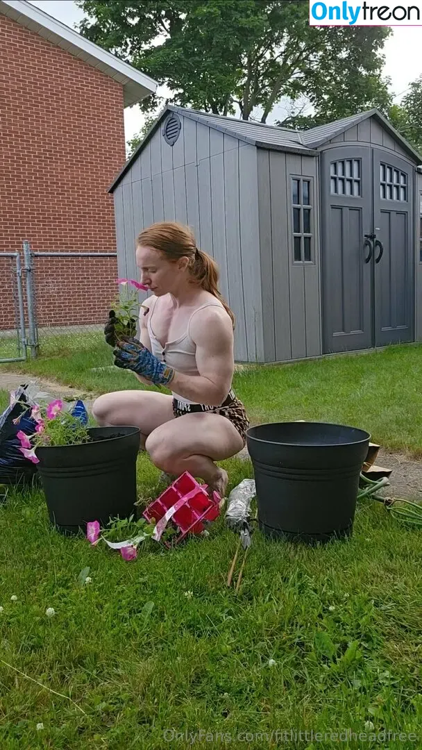 fitlittleredheadfree nude photo #0397 (fit_little_redhead)