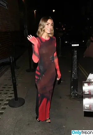 Frankie Bridge / Frankie Sandford (The Saturdays / frankiebridge nude photo #1312