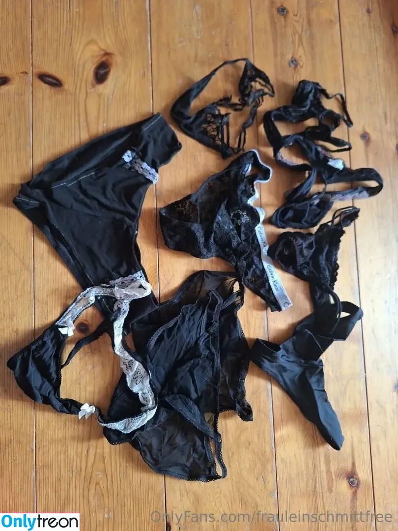 frauleinschmittfree nude photo #0133 (f00d4th0t)