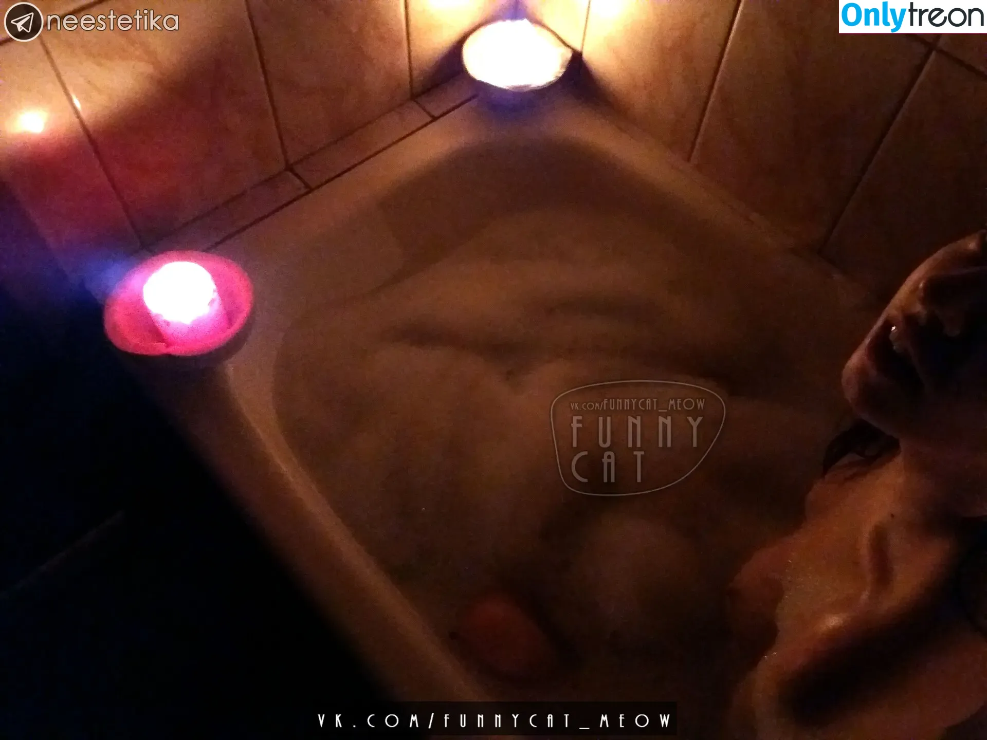 funsnail nude photo #0339 (Funnycat / Maria smirnova)