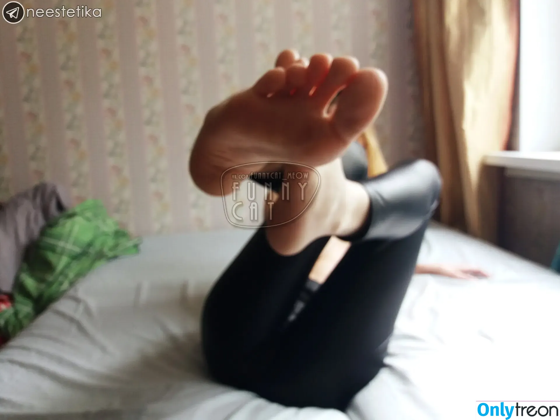 funsnail nude photo #0416 (Funnycat / Maria smirnova)
