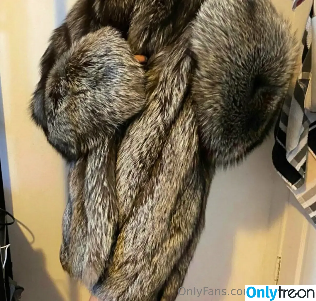 furcoatlove nude photo #0025 (furcoatlove)