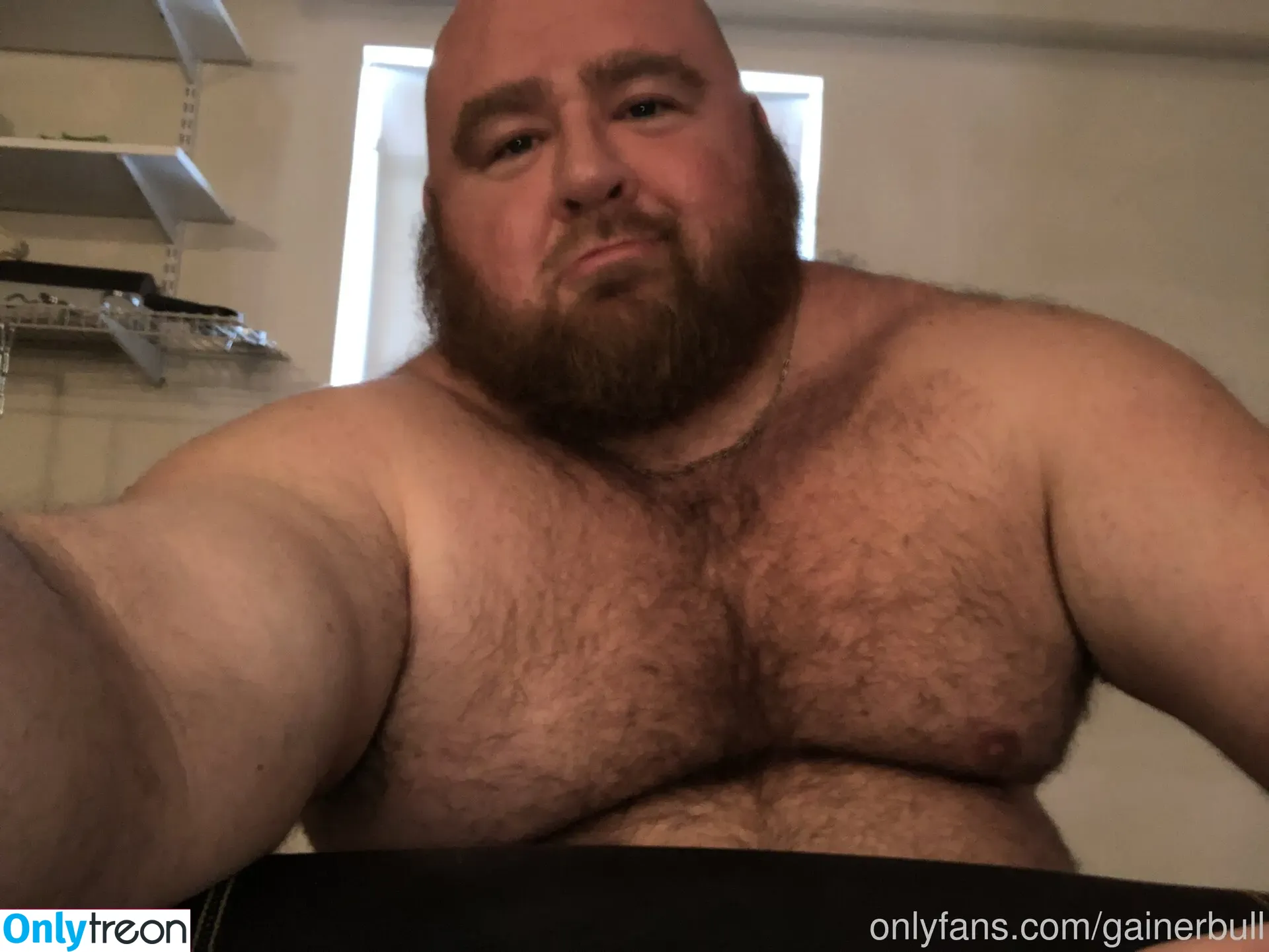 gainerbull nude photo #0043 (gainerbull)