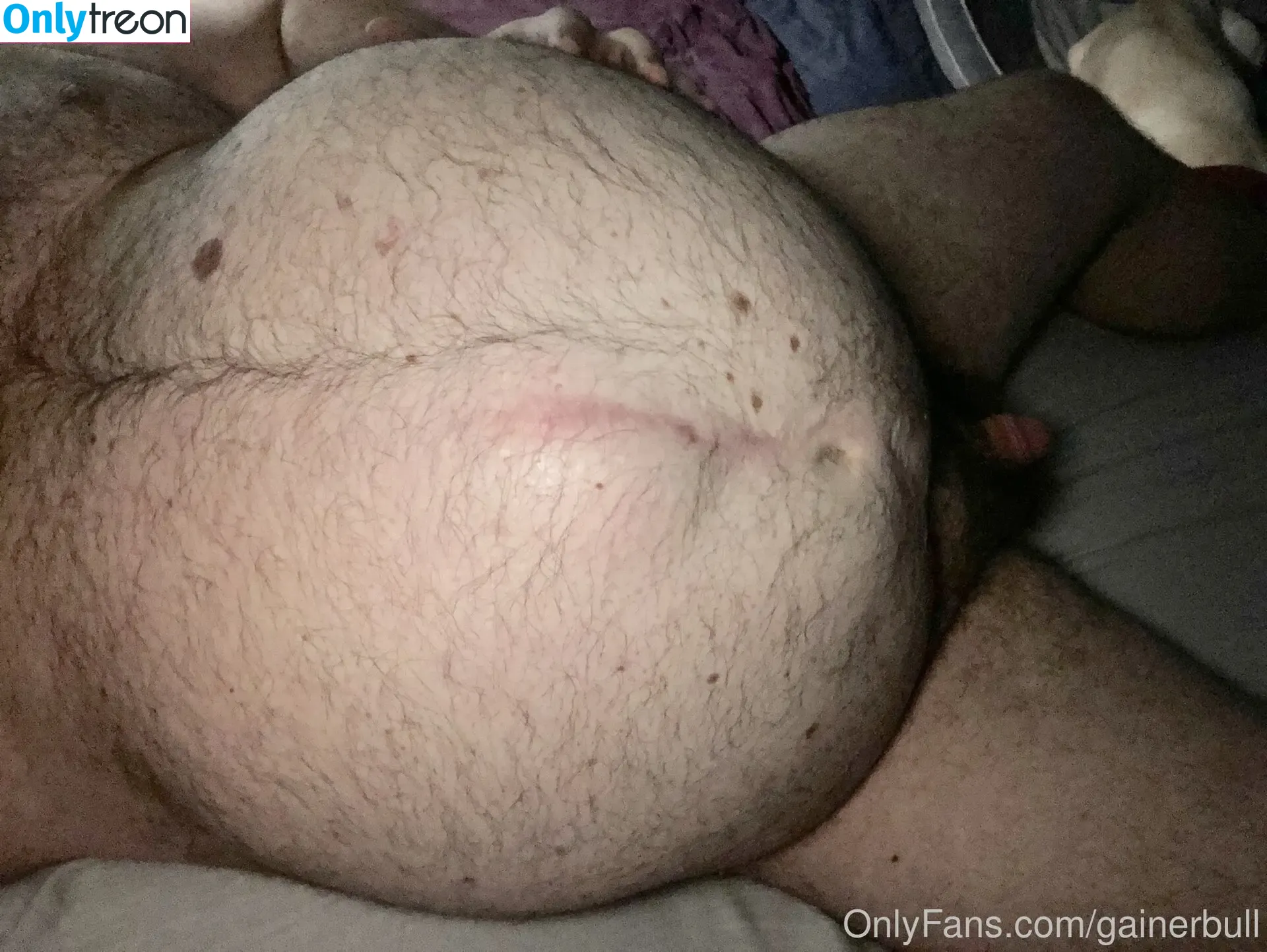 gainerbull nude photo #0125 (gainerbull)