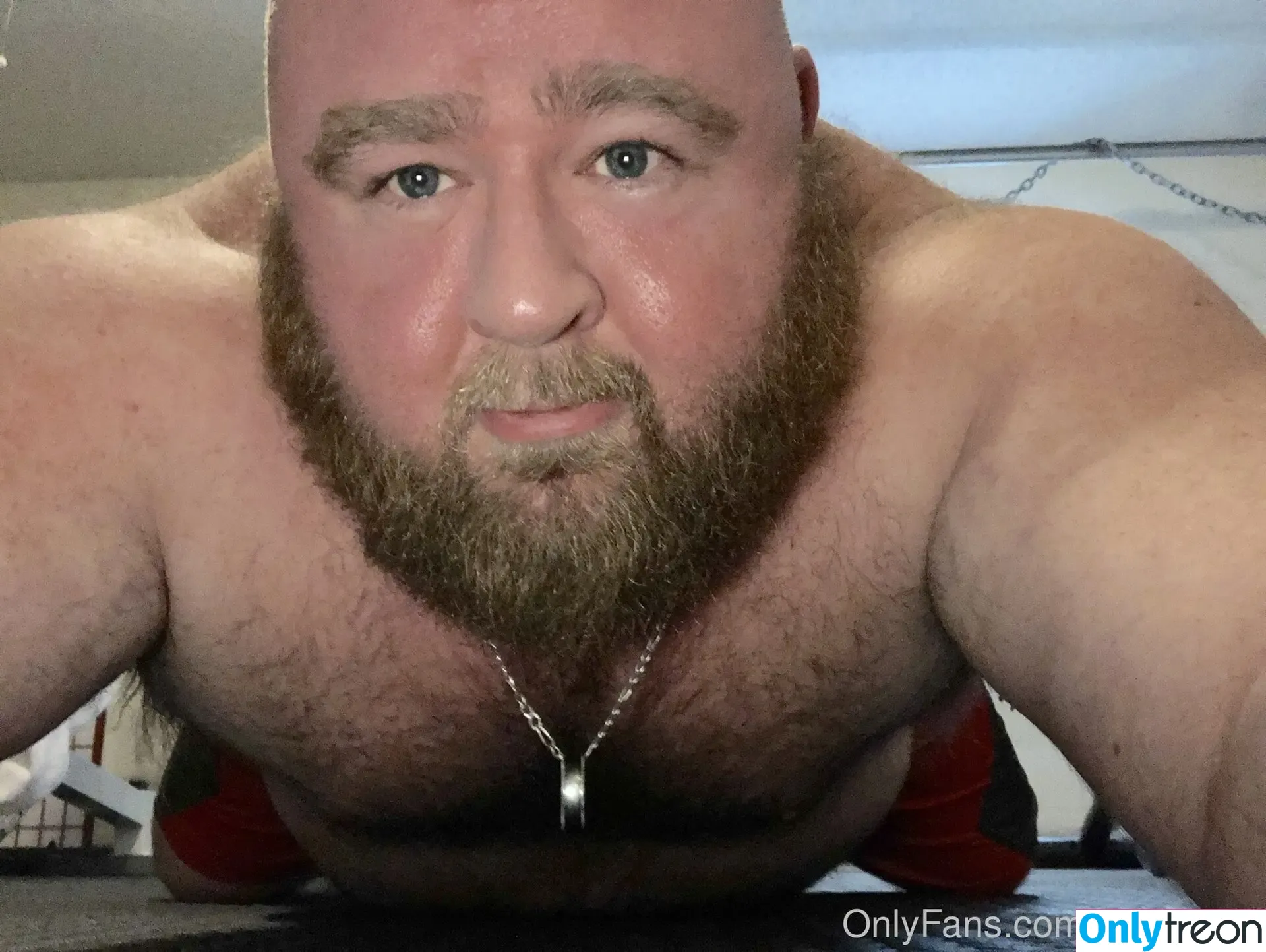 gainerbull nude photo #0128 (gainerbull)
