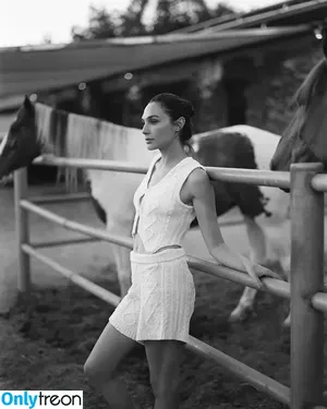 gal_gadot / inked_hriss nude photo #0730