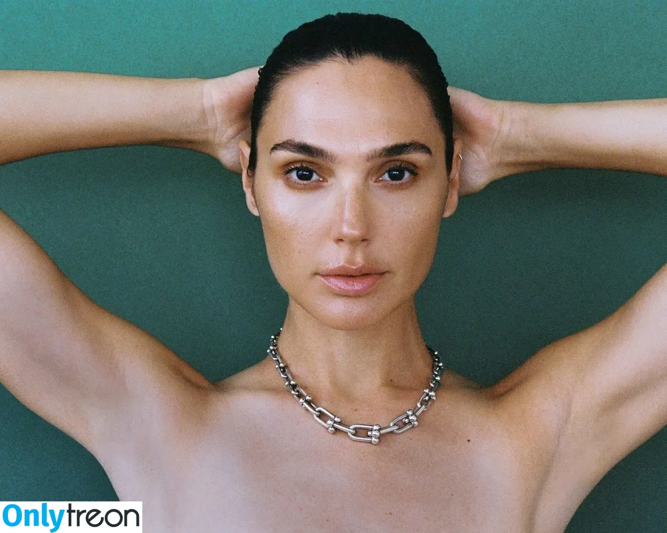 gal_gadot nude photo #0736 (inked_hriss)