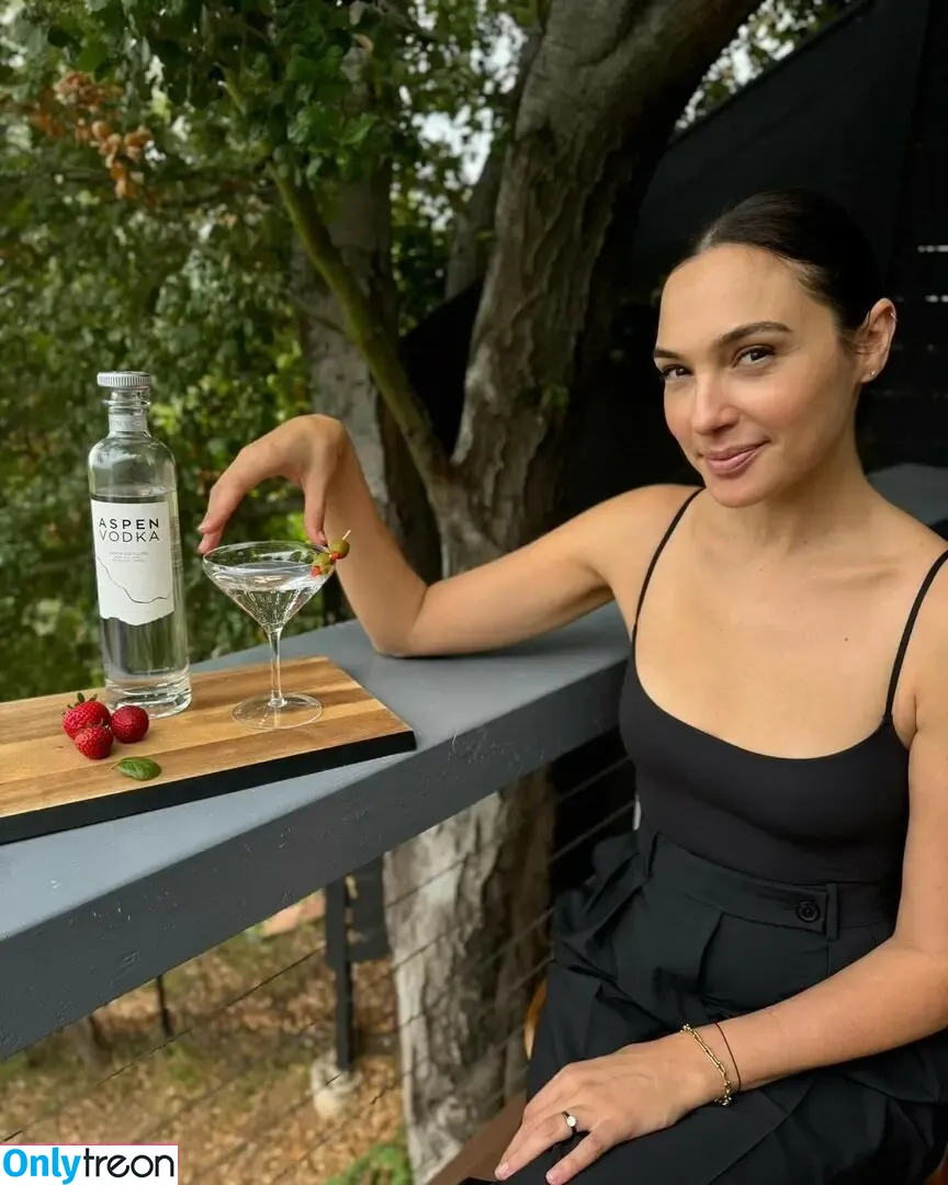 gal_gadot nude photo #1168 (inked_hriss)