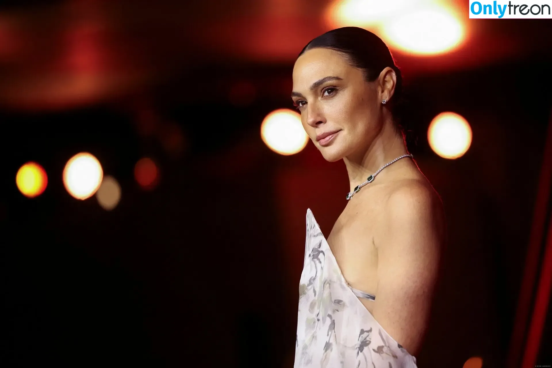 gal_gadot nude photo #1251 (inked_hriss)