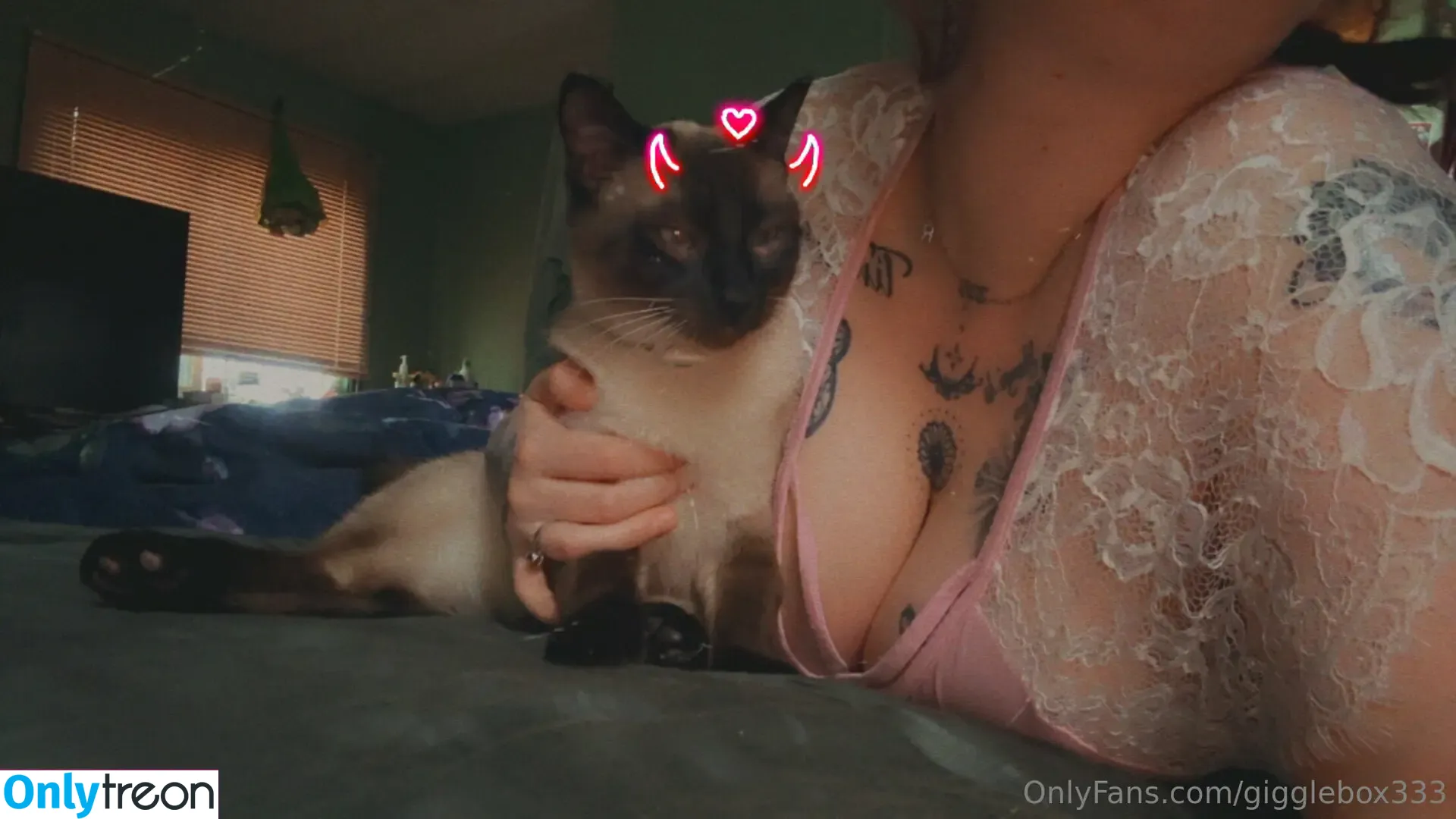 gigglebox333 nude photo #0044 (gigglebox333)