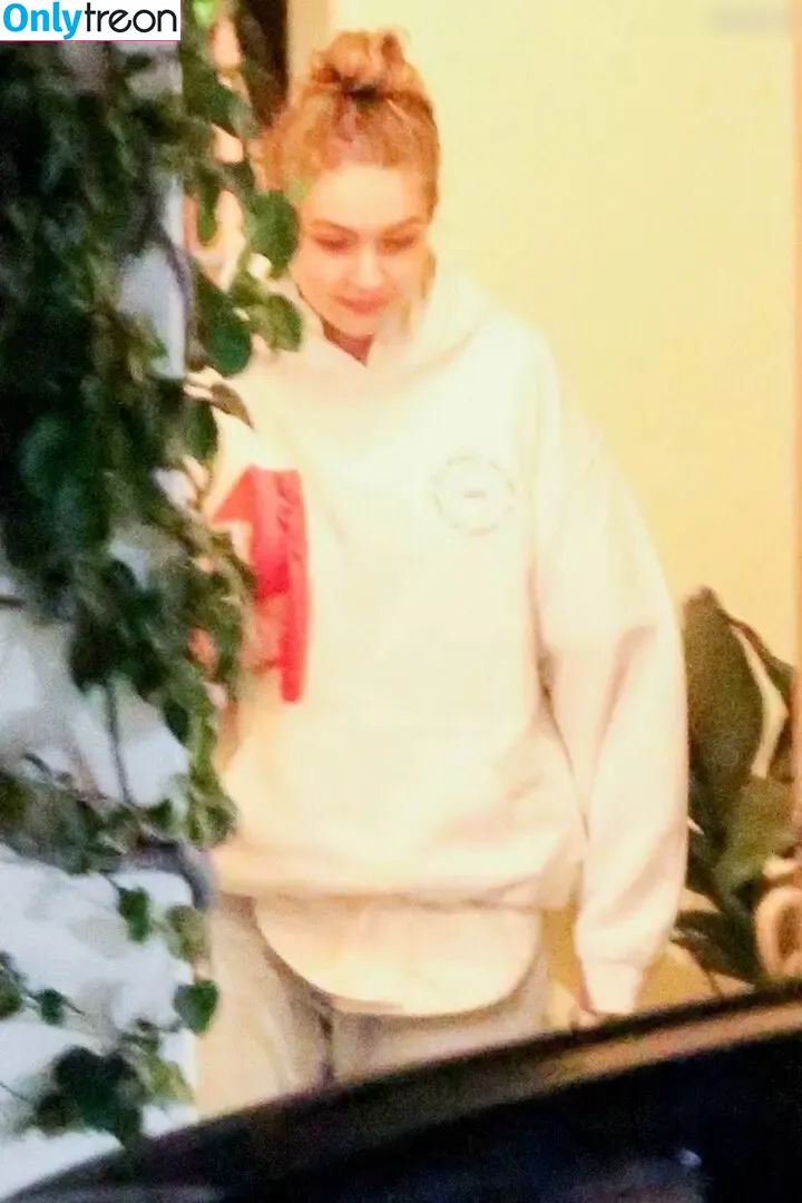 Gigi Hadid nude photo #1109 (GiGiHadid / aaliyahhadid)