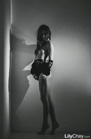 Guerlain / Anastasia S / Dominika / Lili / Lily C / Lily Chey / Nasty Q. / lea_guerlin / sia89 nude photo #0419