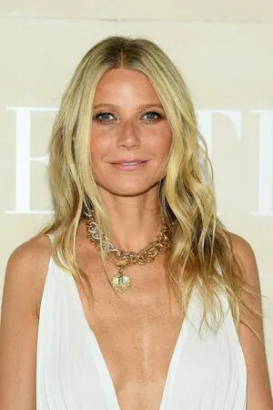 Gwyneth Paltrow / GwynethPaltrow nude photo #0089