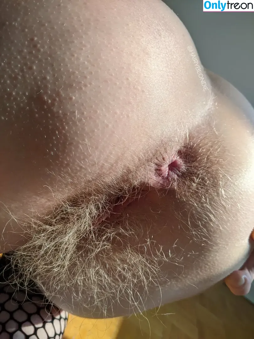 Hairyblondie nude photo #0417 (Goldie / hairy_blondie)