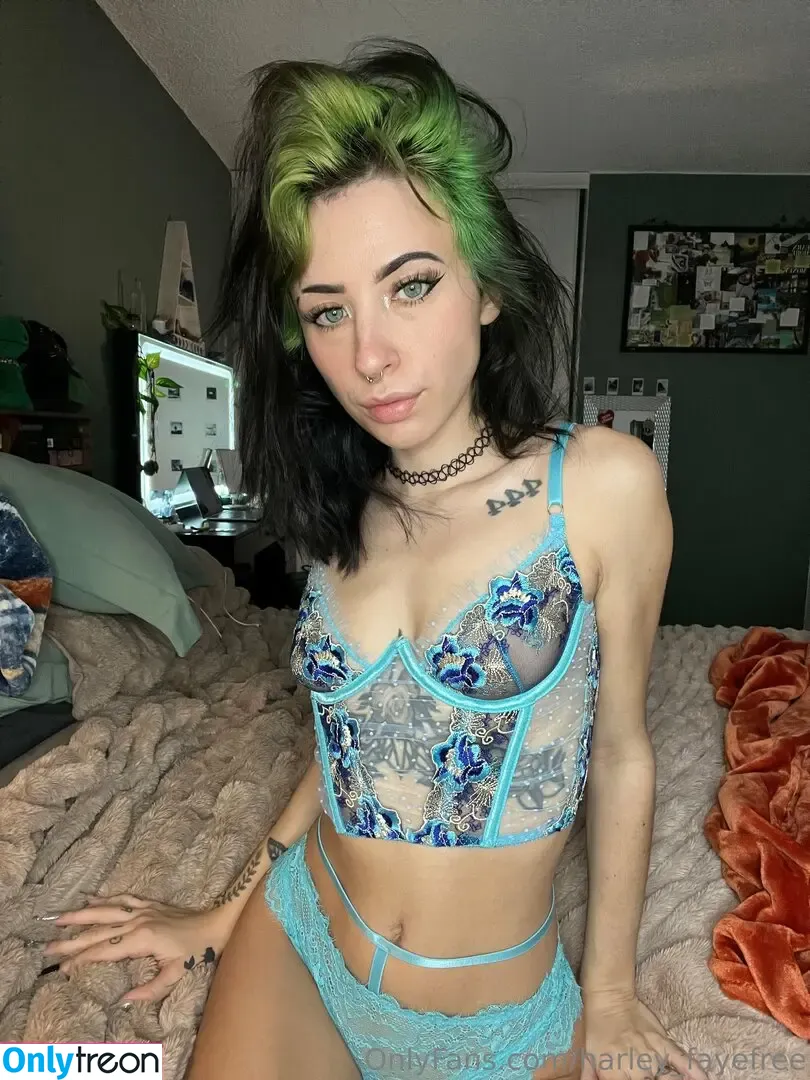 harley_fayefree nude photo #0016 (harleyyfayye)