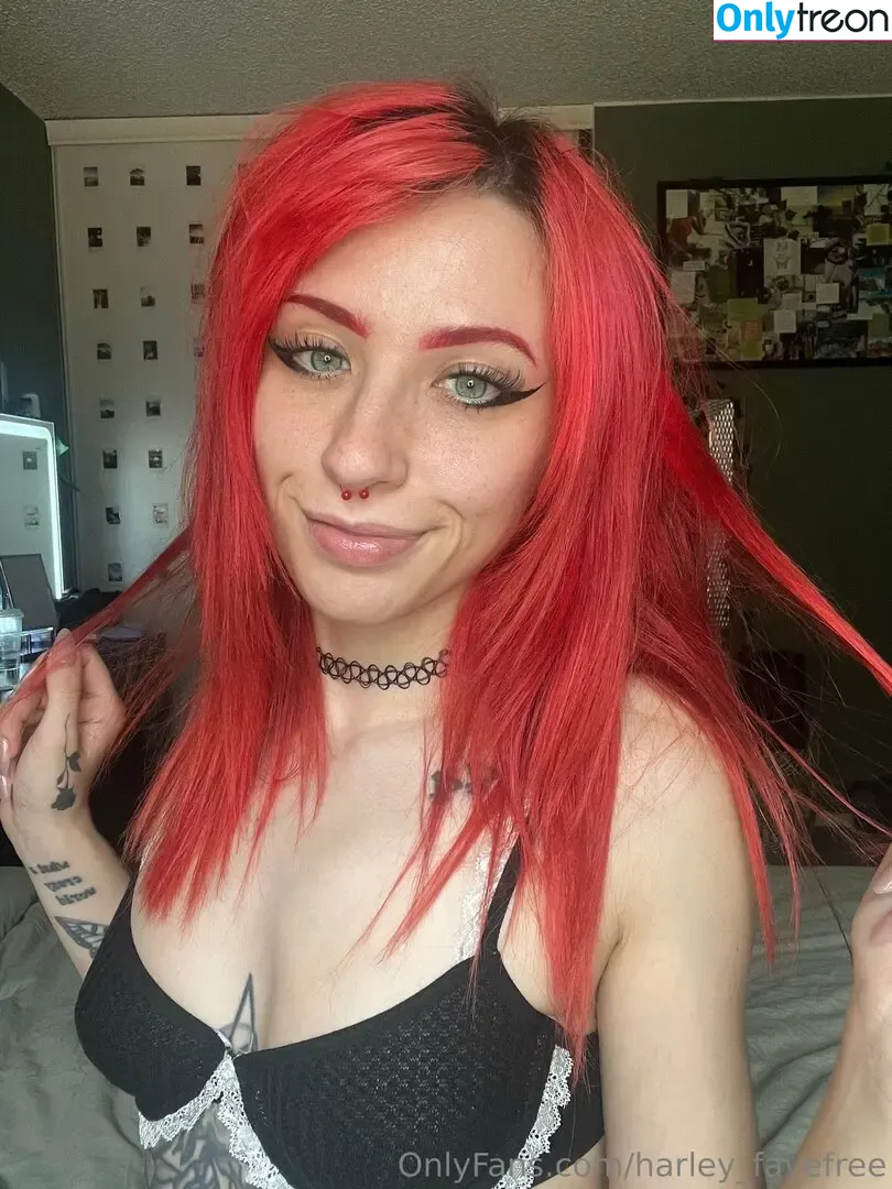 harley_fayefree nude photo #0083 (harleyyfayye)