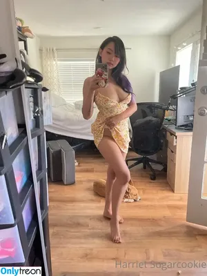 Harriet Sugarcookie / harrietsugarcookie / hazsugarcookie / hsugarcookie nude photo #0175