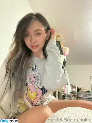 Harriet Sugarcookie / harrietsugarcookie / hazsugarcookie / hsugarcookie nude photo #0255