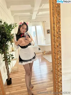 Harriet Sugarcookie / harrietsugarcookie / hazsugarcookie / hsugarcookie nude photo #0459