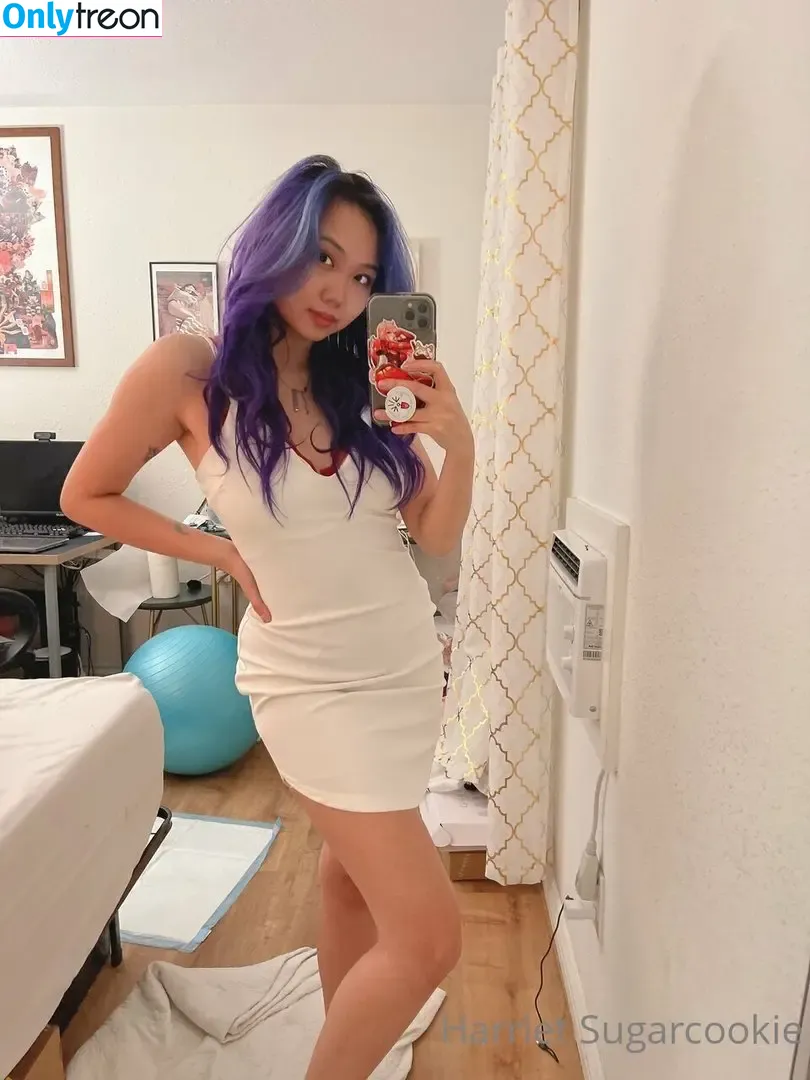 Harriet Sugarcookie nude photo #0021 (harrietsugarcookie / hazsugarcookie / hsugarcookie)