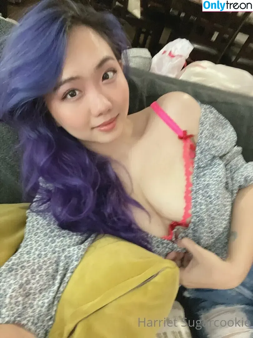Harriet Sugarcookie nude photo #0032 (harrietsugarcookie / hazsugarcookie / hsugarcookie)