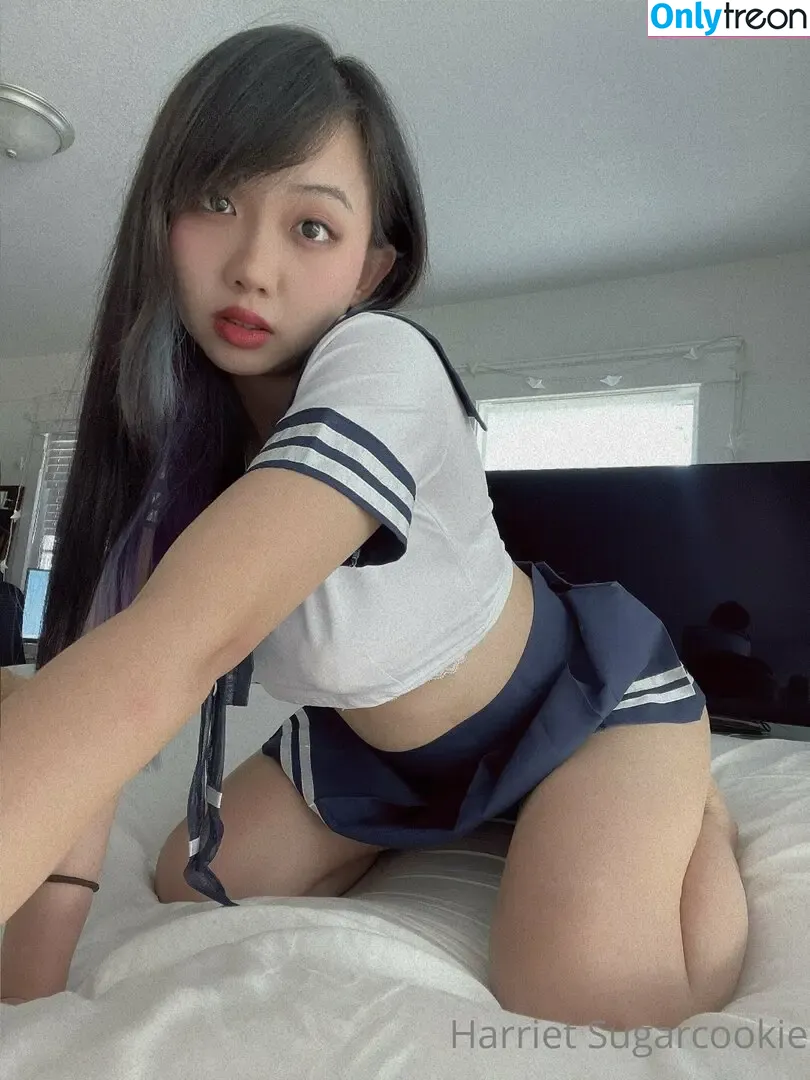 Harriet Sugarcookie nude photo #0153 (harrietsugarcookie / hazsugarcookie / hsugarcookie)