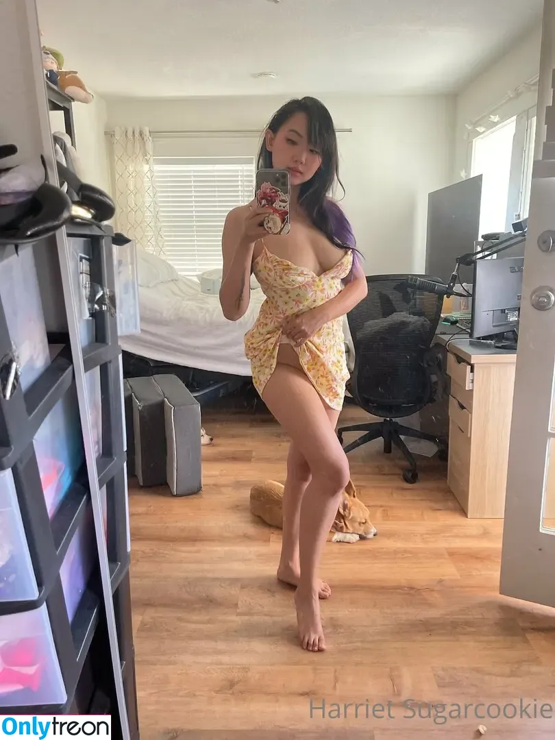 Harriet Sugarcookie nude photo #0175 (harrietsugarcookie / hazsugarcookie / hsugarcookie)
