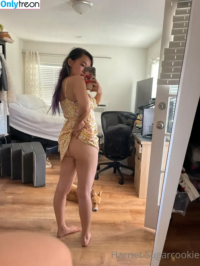 Harriet Sugarcookie nude photo #0197 (harrietsugarcookie / hazsugarcookie / hsugarcookie)