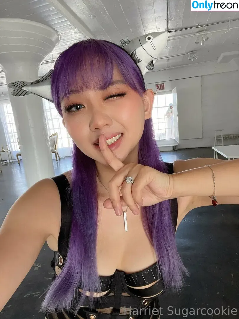 Harriet Sugarcookie nude photo #0290 (harrietsugarcookie / hazsugarcookie / hsugarcookie)