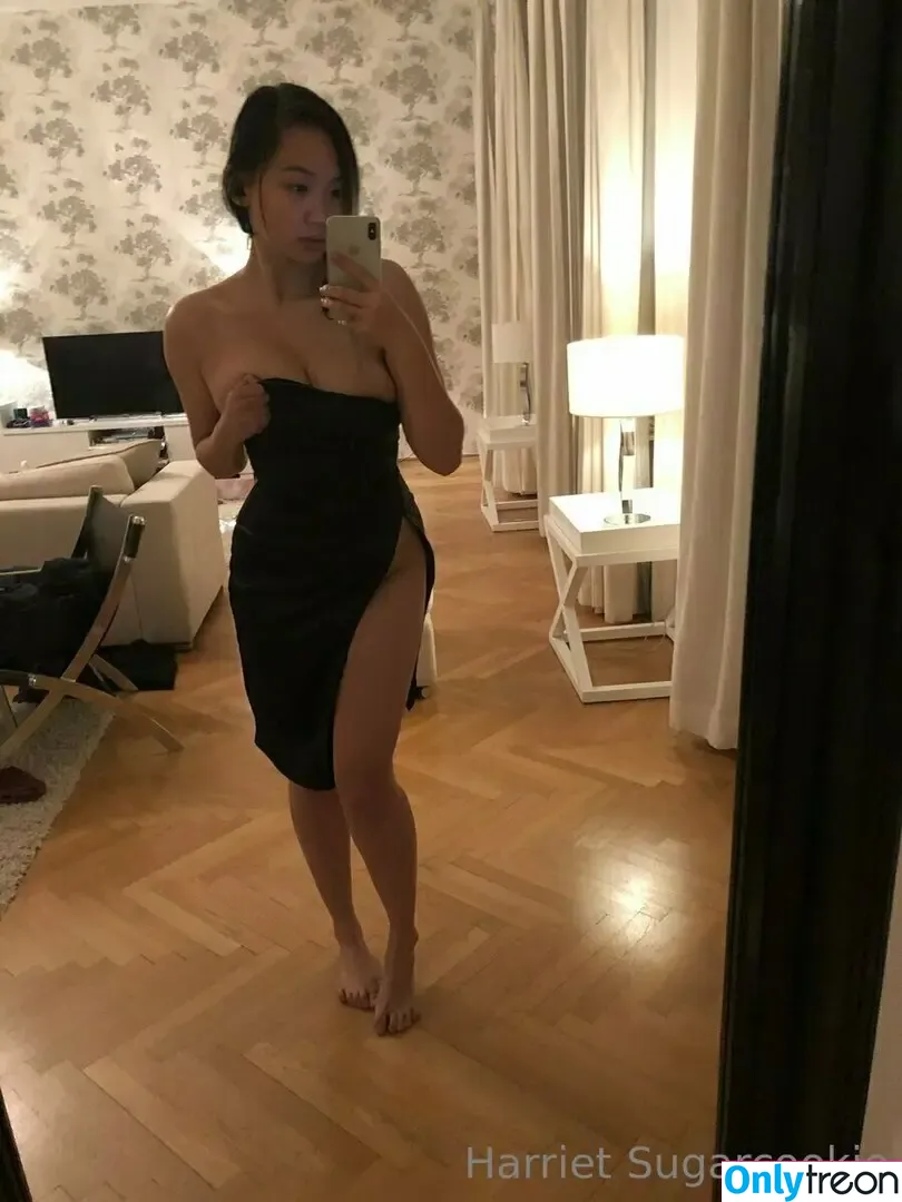 Harriet Sugarcookie nude photo #0309 (harrietsugarcookie / hazsugarcookie / hsugarcookie)