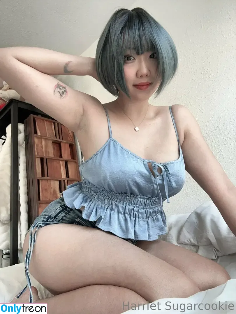 Harriet Sugarcookie nude photo #0539 (harrietsugarcookie / hazsugarcookie / hsugarcookie)