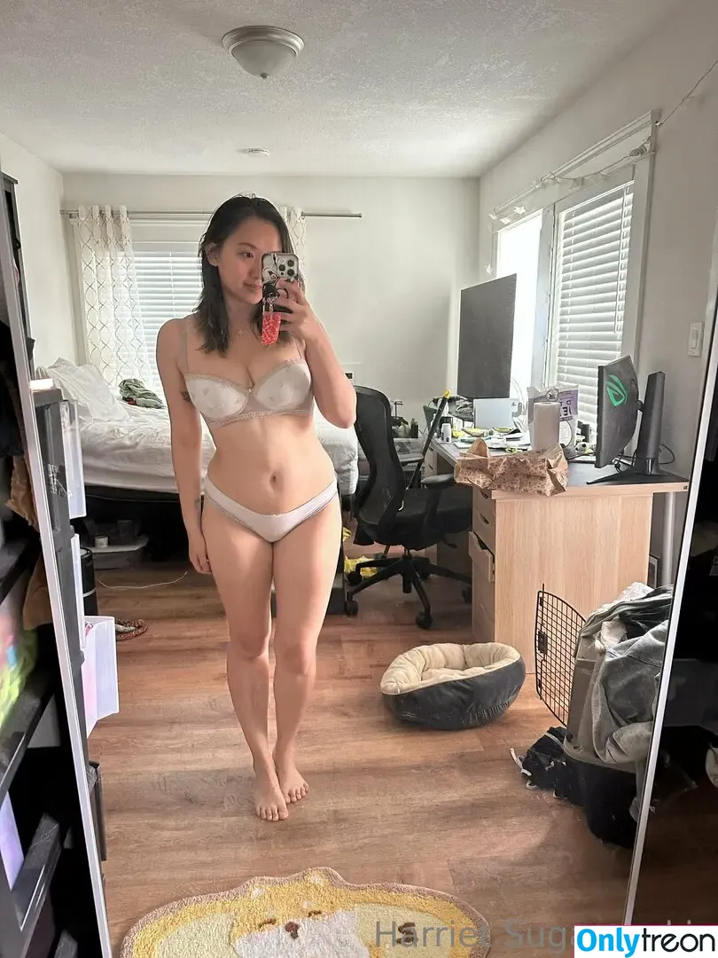 Harriet Sugarcookie nude photo #0549 (harrietsugarcookie / hazsugarcookie / hsugarcookie)