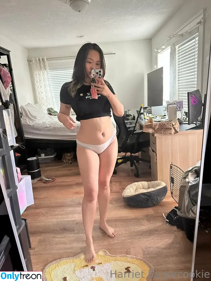 Harriet Sugarcookie nude photo #0550 (harrietsugarcookie / hazsugarcookie / hsugarcookie)