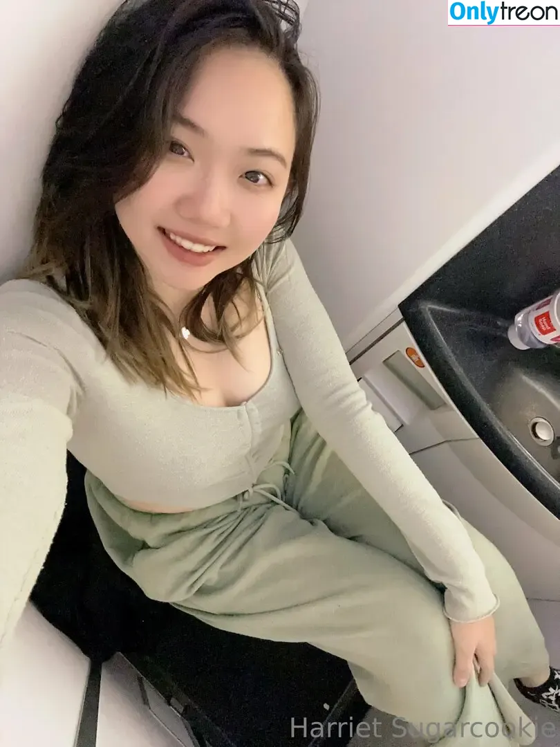 Harriet Sugarcookie nude photo #0572 (harrietsugarcookie / hazsugarcookie / hsugarcookie)