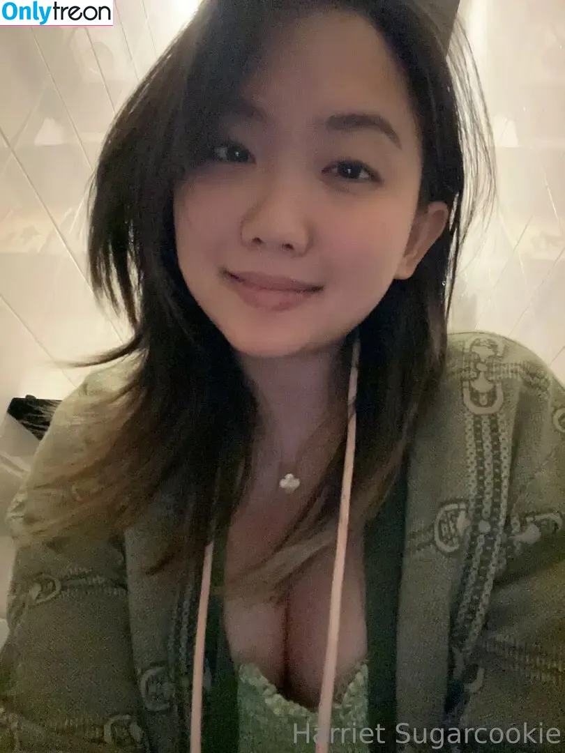 Harriet Sugarcookie nude photo #0582 (harrietsugarcookie / hazsugarcookie / hsugarcookie)