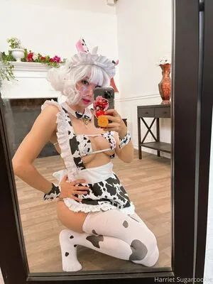 harrietsugarcookie / hazsugarcookie / hsugarcookie nude photo #0037