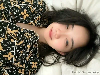harrietsugarcookie / hazsugarcookie / hsugarcookie nude photo #0212