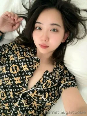 harrietsugarcookie / hazsugarcookie / hsugarcookie nude photo #0213