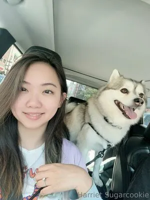 harrietsugarcookie / hazsugarcookie / hsugarcookie nude photo #0238
