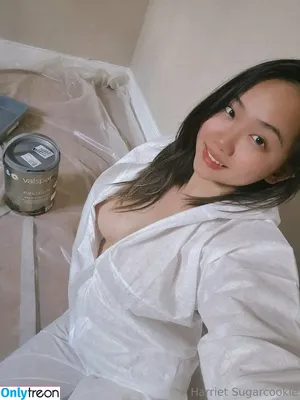 harrietsugarcookie / hazsugarcookie / hsugarcookie nude photo #0287