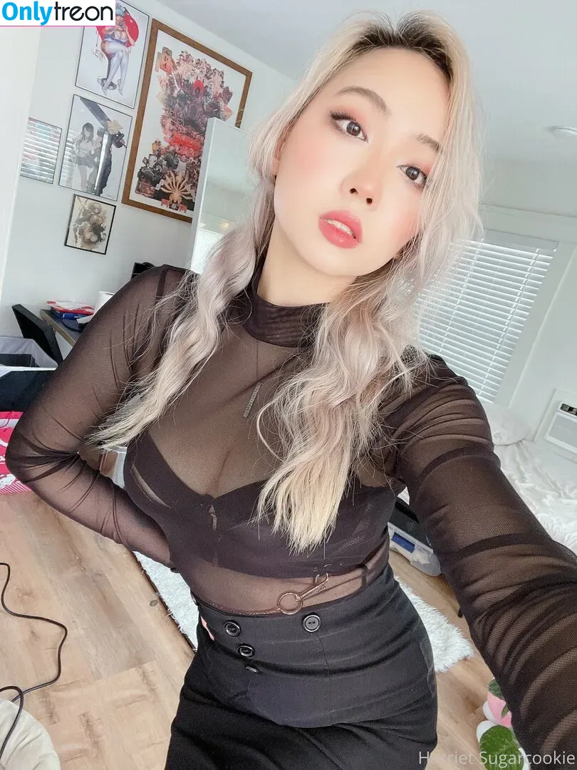 harrietsugarcookie nude photo #0021 (hazsugarcookie / hsugarcookie)