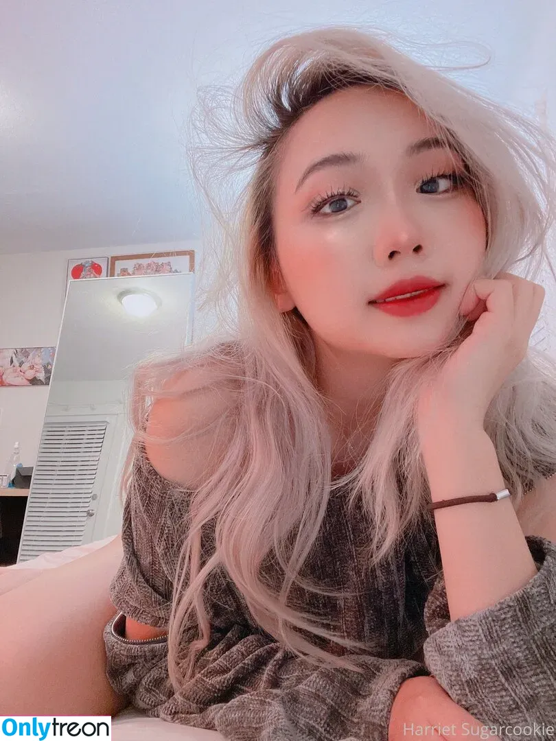 harrietsugarcookie nude photo #0029 (hazsugarcookie / hsugarcookie)