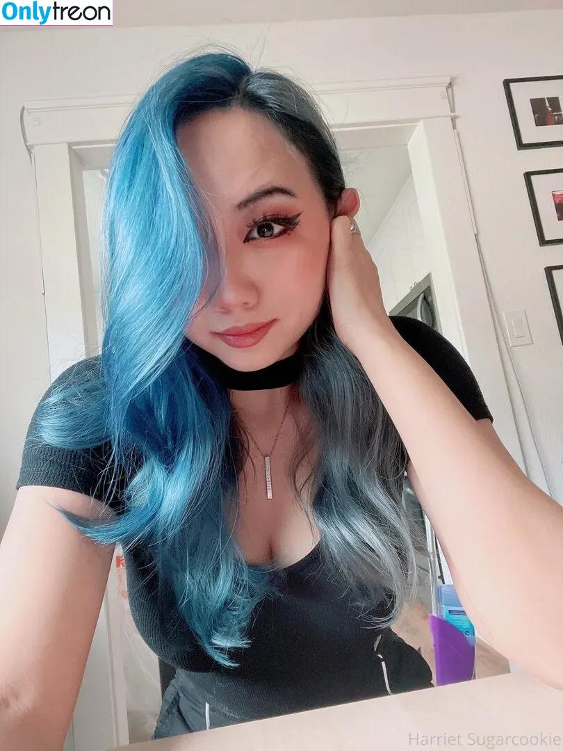 harrietsugarcookie nude photo #0058 (hazsugarcookie / hsugarcookie)