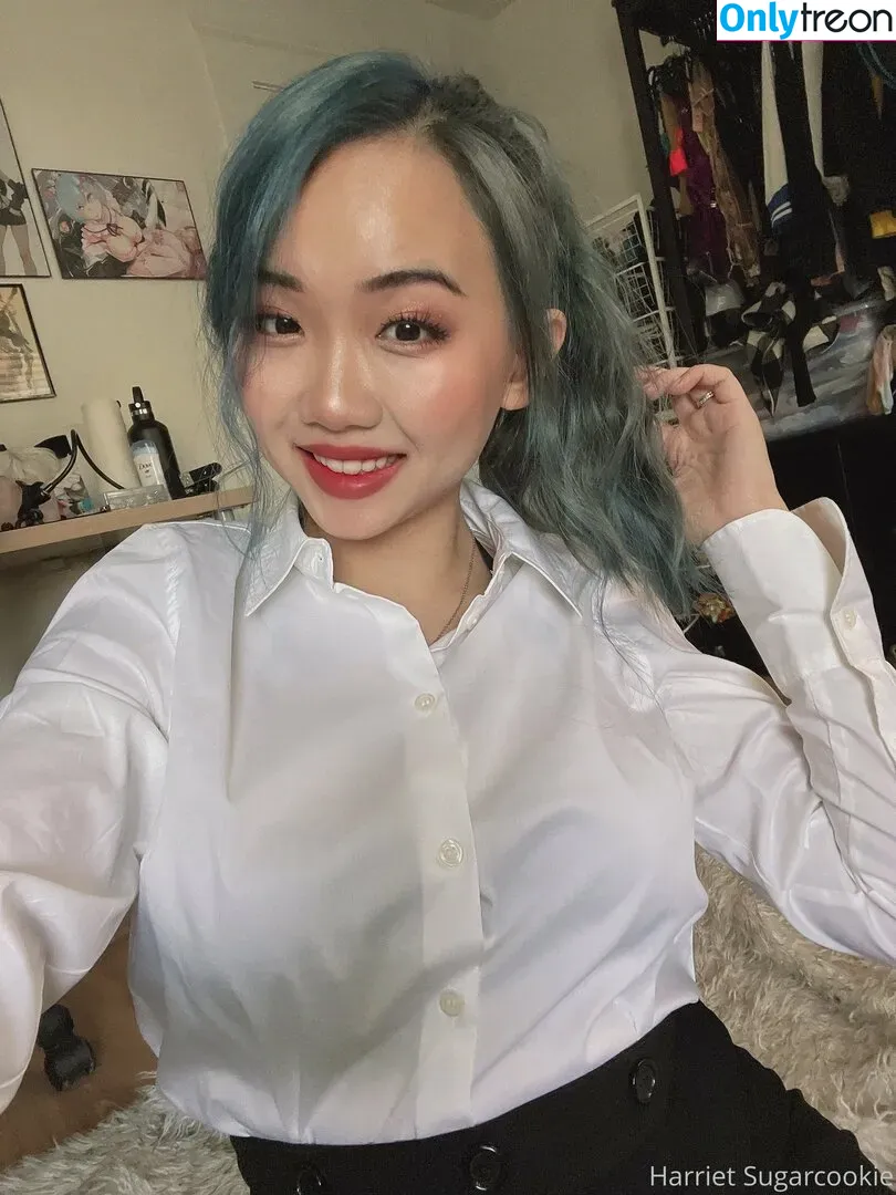 harrietsugarcookie nude photo #0074 (hazsugarcookie / hsugarcookie)