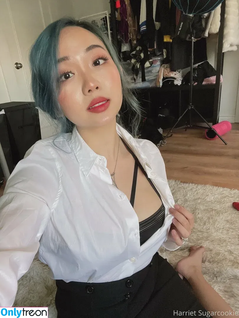harrietsugarcookie nude photo #0075 (hazsugarcookie / hsugarcookie)