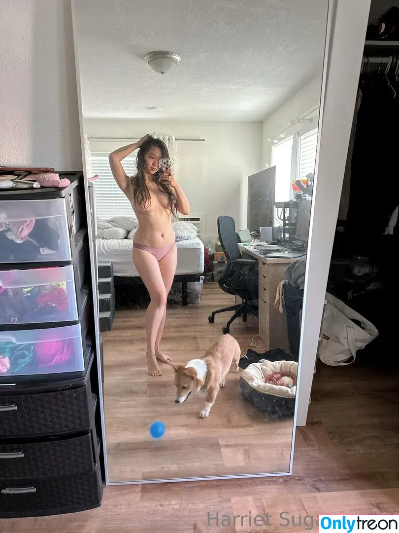 harrietsugarcookie nude photo #0136 (hazsugarcookie / hsugarcookie)