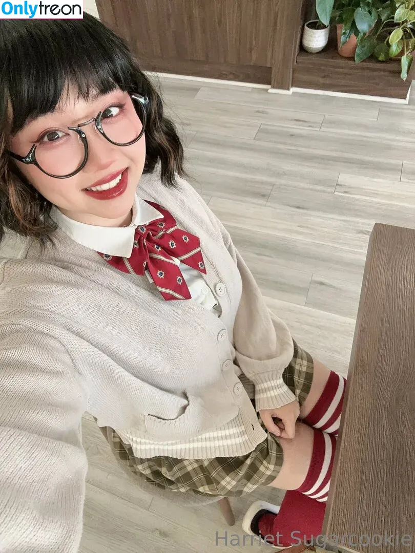 harrietsugarcookie nude photo #0172 (hazsugarcookie / hsugarcookie)