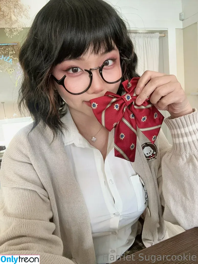 harrietsugarcookie nude photo #0174 (hazsugarcookie / hsugarcookie)