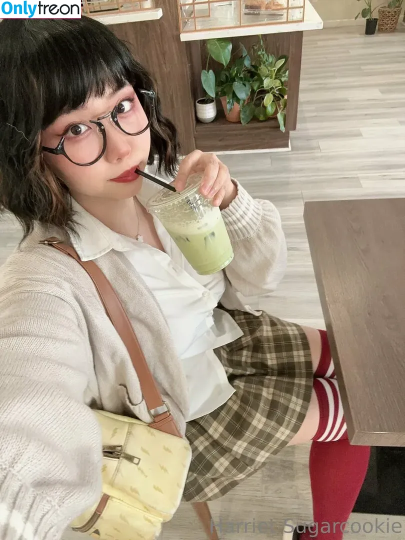 harrietsugarcookie nude photo #0182 (hazsugarcookie / hsugarcookie)